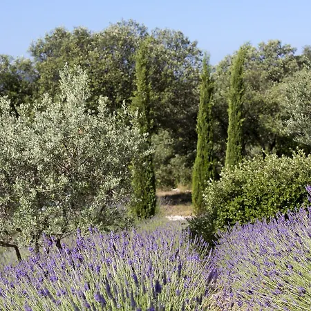 La Cle Des Champs, Boutique Hotel & Spa - Le Mas De Garrigon